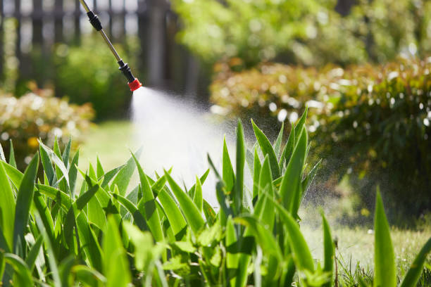 24/7 Emergency Ant Control experts in Alexandria, VA
