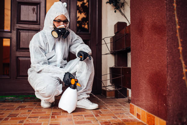 Reliable Ant Control contractor in Alexandria, VA by Nex Pest Control