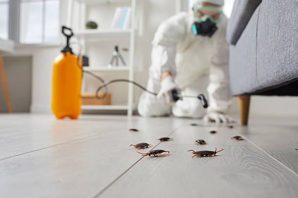 Trusted Emergency Pest Control service in Alexandria, VA - Nex Pest Control